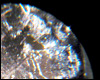Americium Update